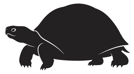 Black Silhouette Tortoise Icon or Vector Graphic Isolated on White Background