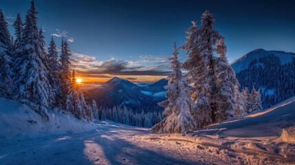 Majestic winter mountain landscape at sunset with snow covered pine trees and dramatic sky
