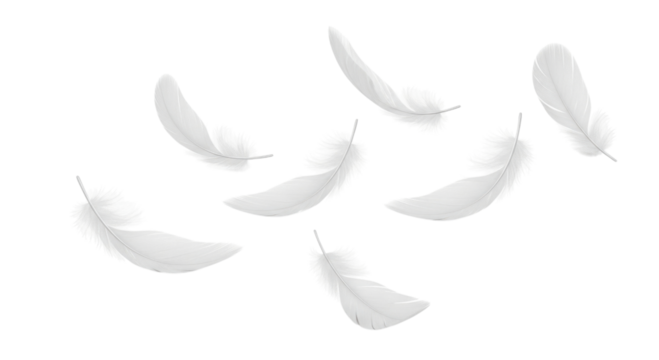Seven white feathers falling transparent background cutout png