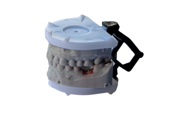 Dental model with upper and lower teeth mounted in plastic articulator for orthodontic and prosthodontic treatment planning