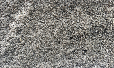Detailed close-up of a rough concrete wall surface with visible grains