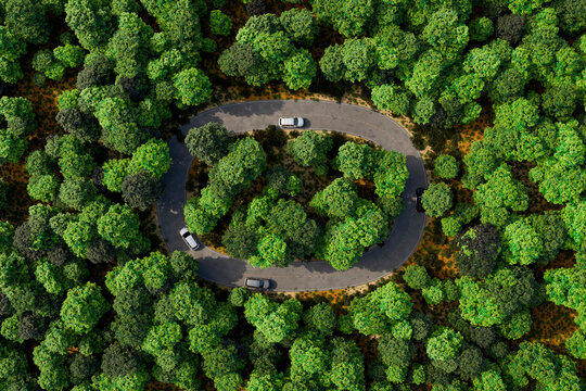 3D road loop curve in forest landscape with aerial top view