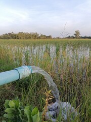 A vibrant summer irrigation system waters the lush green field under a bright blue sky in this rural landscape where agriculture meets nature's meadow
