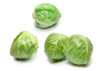 Fototapeta premium Cabbage isolated on white background.