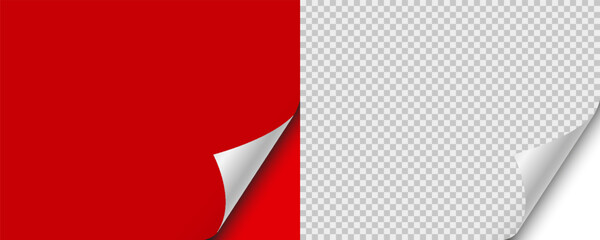 Fototapeta na wymiar Blank page with curled edge corner and shadow, page curl with shadow on blank sheet, curled page corner isolated on transparent and red background, rolled up stickers, peel banners, bent sheet set