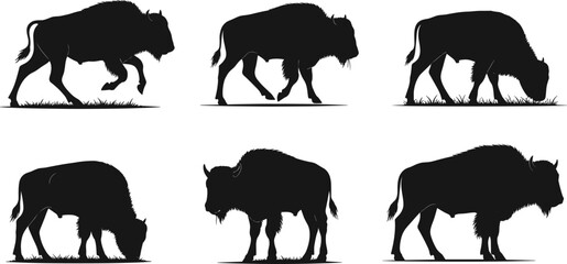 Bison silhouettes collection isolated on white background, vector illustration of wild buffalo grazing and walking, wildlife design elements