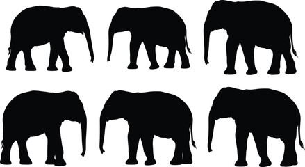 Elephant silhouettes collection isolated on white background, vector illustration of walking elephants, wildlife animal design elements