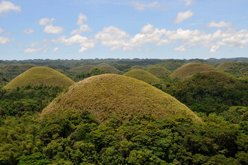 Fototapeta premium Chocolate Hills auf den Philippinen