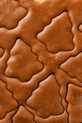 Christmas cookies festive background. Rolled out pastry dough with cut out Christmas tree shapes close up, texture. Preparation of homemade gingerbread cookies, top view