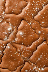 Christmas cookies festive background. Rolled out pastry dough with cut out Christmas tree shapes close up, texture. Preparation of homemade gingerbread cookies, top view