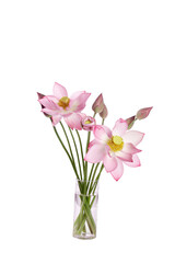 Pink Lotus Flowers in Glass Vase - Natural Summer Blooms with Fresh Scent and Beauty