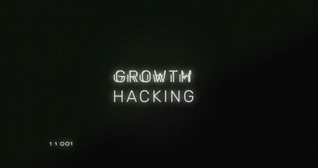 Showing white glitchy GROWTH HACKING text on black screen, green grain, lines, code lower-left