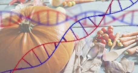 Displaying pumpkin left-of-center on blue table, tied-cutlery-napkin, tomatoes, carrots, DNA-helix © vectorfusionart