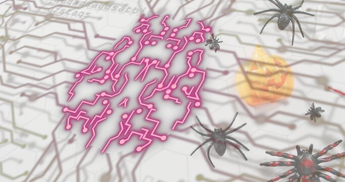 Naklejki Glowing neon-pink brainlike circuit pattern hovering over hex grid, with spiders and pumpkin cube