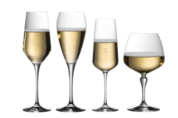 Four different types of champagne glasses filled with sparkling wine isolated on transparent background