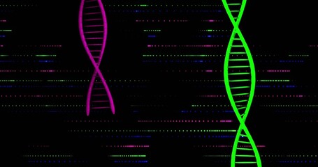 Displaying neon green helix right and magenta helix upper-left on black field, with data lines