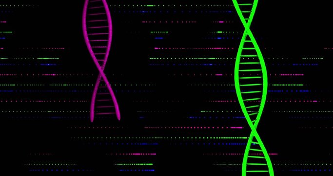 Displaying neon green helix right and magenta helix upper-left on black field, with data lines - Powered by Adobe