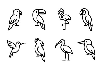 Naklejka premium A collection of line drawings showcases different bird species, including a parrot, flamingo, toucan, and hummingbird, highlighting their distinctive shapes and features.