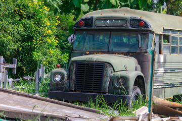 Abandoned Vintage School Bus Painted in Military Camouflage, Junkyard or Glamping Spot