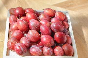 Fresh Red Plums in Wooden Box - Ripe Stone Fruits Display