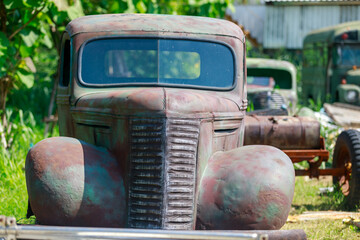 Abandoned  Bus Rusting in an Overgrown Green Field