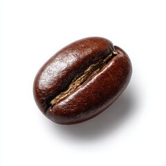 Single roasted coffee bean isolated on white background