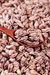 Colorful Pinto Beans in Wooden Spoon - Healthy Legumes and Natural Protein Source for Nourishing Farmhouse Cooking