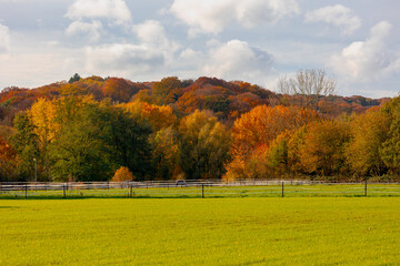 Autumn landscape, Orange yellow and green leaves on trees in the forest, Duivelsberg high hill in Berg en Dal on the moraine between Beek and the Dutch-German border, Nijmegen, Gelderland, Netherlands