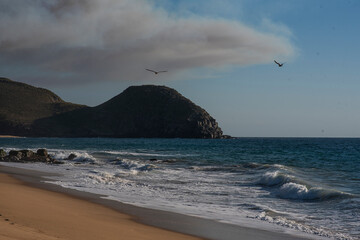 Libertad y tranquilidad