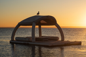 El hombre y la naturaleza