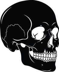Human skull anatomy, side view, skeletal structure, medical illustration, forensic science, black and white drawing, vector sketch, cad drawing flat vector illustration