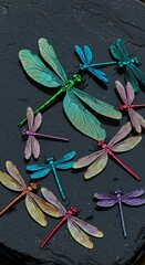 Dragonflies display iridescent on dark surface