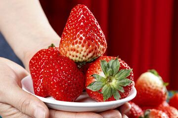 Fresh Ripe Strawberries on White Plate - Healthy Vitamin Rich Fruit Still Life