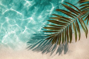 Palm frond casts shadow on sand and turquoise water in tropical paradise from above summer vacation