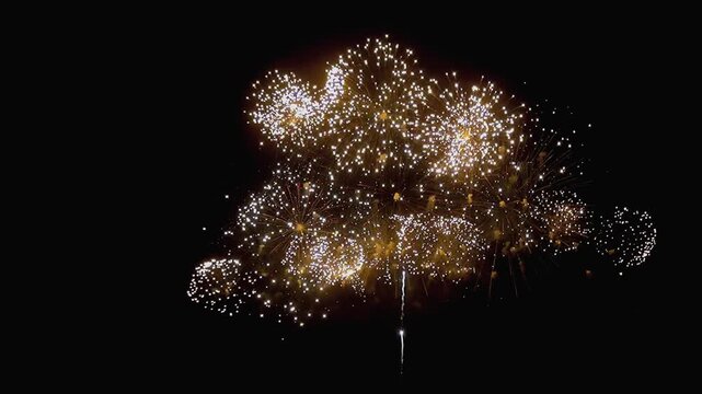 Brilliant golden fireworks explode in the inky blackness. Dazzling displays celebrate a special event high above Central Park at night. A magical moment captured.
