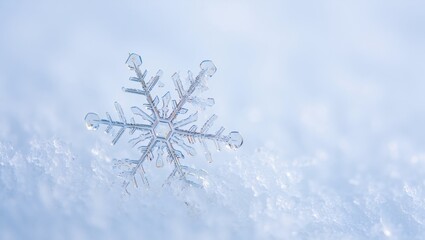 Delicate ice crystal forming intricate hexagonal pattern. A unique snowflake captured in crisp winter light. Resting on a bed of fresh snow