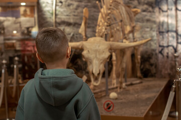 Child looking at the skeleton of an ancient dinosaur in the museum of paleontology. 9 years old boy watching at dinosaur bones.