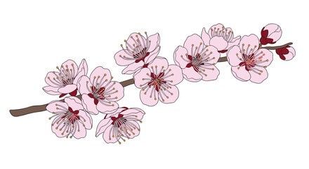 A delicate branch adorned with numerous delicate pink blossoms in full bloom signifying the arrival of springtime.