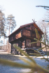 Traditional wooden storehouse from rural Norway stands under pine trees near Oslo, showing authentic log craftsmanship and warm Scandinavian charm.