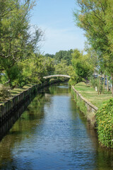 Fototapeta premium A bridge spans a river, with trees lining the banks The water is calm and clear, reflecting the sky above