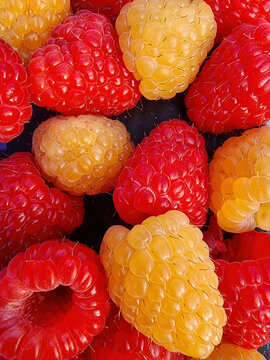 Macro closeup of red and golden raspberries with fine texture
