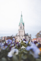 Fototapeta premium Kristiansand Cathedral surrounded by spring flowers in bloom. Peaceful Nordic city scene capturing the harmony between nature, faith, and architecture