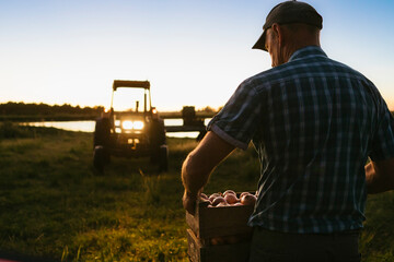 Farmer harvesting fresh produce carrying a crate of vegetables walking towards a tractor at sunrise
