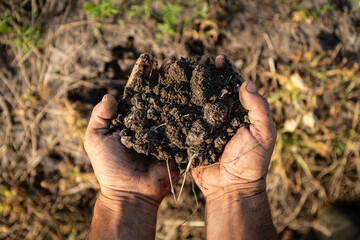 Farmer's hands holding rich soil, representing agriculture, growth, and sustainable farming practices