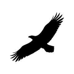 Flying bald eagle silhouette on a clean white background Vector, illustration