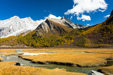Beautiful Scenic of Luorong Grassland in Yading Natural Reserve