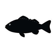 grouper hiding under coral silhouette vector 