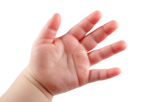 Baby hand infant tiny fingers soft skin closeup isolated transparency background open palm tenderness innocence gently captures baby hand infant tiny fingers soft skin closeup isolated