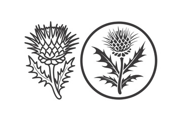 Thistle Flower Silhouette