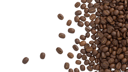 Freshly Roasted Dark Brown Coffee Beans Spilling, Exploding, and Cascading Over a Clean White Background with Plenty of Copy Space